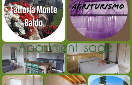 Agriturismo Fattoria Monte Baldo VISTA LAGO - Foto 43