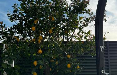 Villa Margita - Foto 47