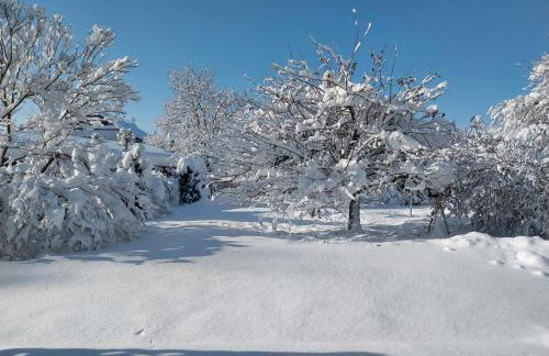 Kern's Hoamat - Foto 15