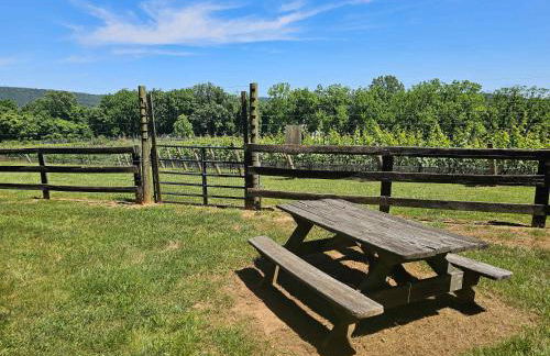 Vinewood Estate & Adventures - Foto 12