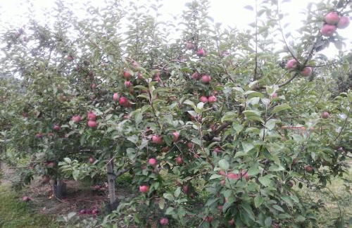 World Cup Stay Close to MetLife Stadium NYC - Foto 7