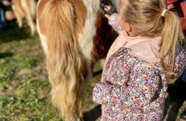 Gîte Mascotte - Foto 19