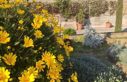 El racó del Puig - Foto 38