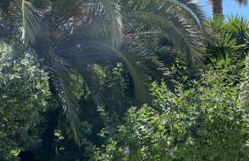 Alentejo Living - Foto 43