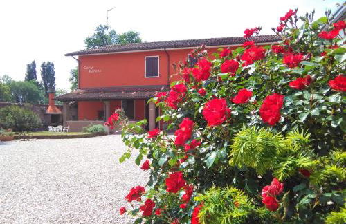 CORTE MORONA - Foto 4