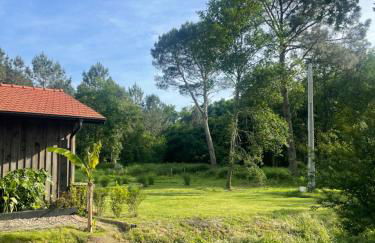 La Villa des Chênes - Foto 22