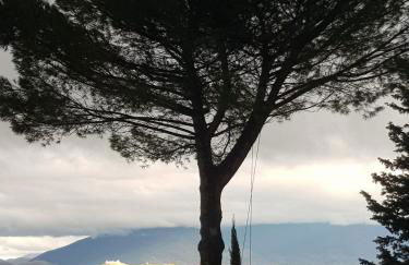 Casale in collina vista Assisi,Brufa di Torgiano - Foto 51