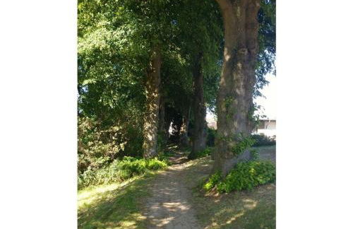 am Schilfweg Comfortable holiday residence - Foto 27