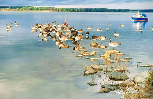 Ferienwohnung Blaue Sonne Devin - Foto 22