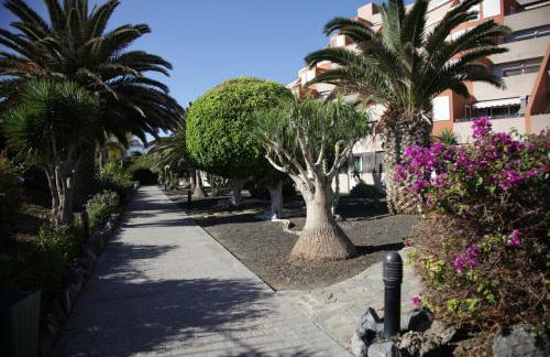 Apartamento el Cano - Foto 17