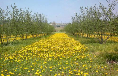 Cascina dei Giacinti - Foto 27