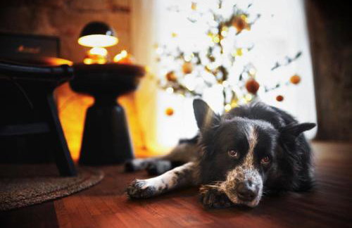 Ferienhaus Gersmühle - Foto 49