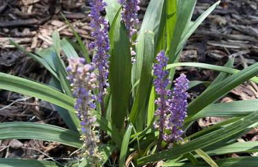 The Haven -In Town, NEWLY remodeled, Private, Stocked - Foto 22