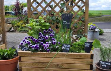 Grubschützer Ferienhäuschen - Foto 19