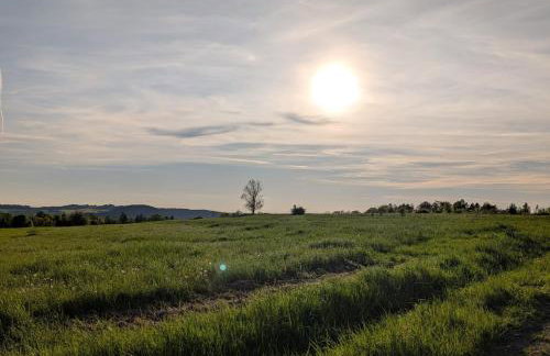 Michałówka Michaelhof - Foto 58