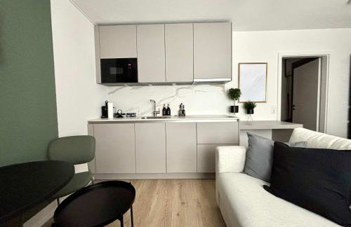 Beautiful Renovated Apartment in Lorrach - Photo 6