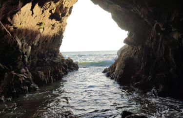 DU SEL A LA VIE, grand studio entre marais et océan - Foto 17