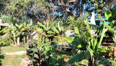 Jungle Lodge - Foto 4