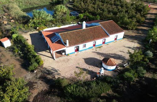 Monte do Pantaleão - Foto 22