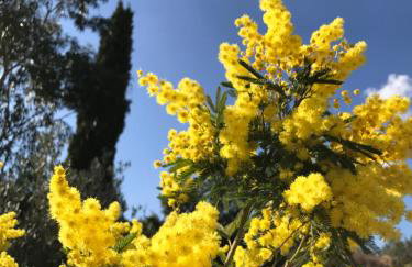 Mas Caipi La Cadière d'Azur at My Luxury Home in Provence - Foto 28