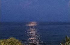 Δίπλα στο κύμα -Βeside the wave - Photo 40