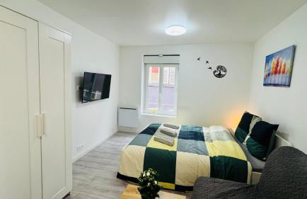 Nid Confort - 2 pas à la place de Jaude - Foto 5