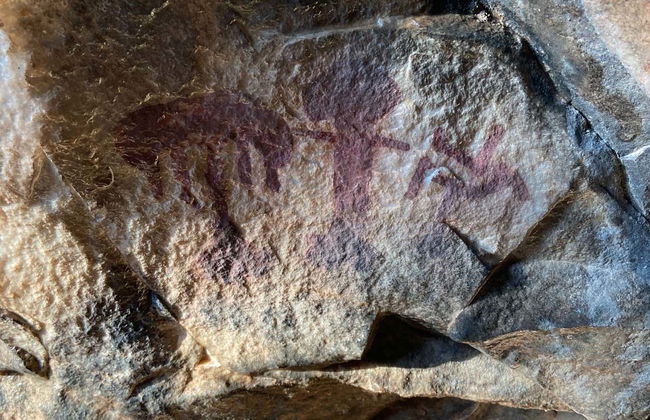 Tour pelas pinturas rupestres do Prado del Azogue - Foto 2