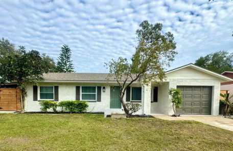 Tropical escape Pool Garden & Patio Near Tampa - Foto 4