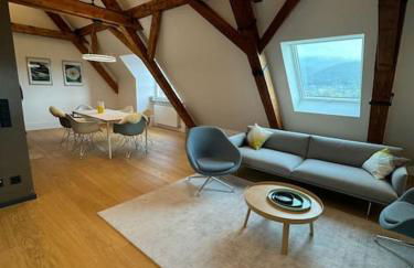 Luxus-Penthouse in Heidelberg - Foto 1