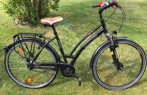 Ferienhaus-Eschede - Foto 59