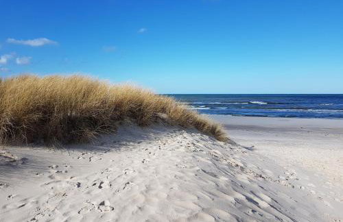 Słowińskie Widoki domki Flora, Fauna, noclegi Smołdziński Las - Foto 37