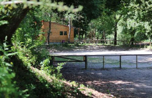 Quinta do Castro Wood House - Foto 8