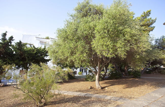 BJ Apartamentos Europa - Photo 23