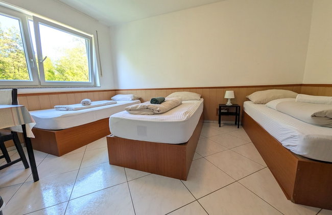 Pension Seckbach - Foto 51