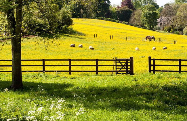 3BR 2bath Gorgeous Country Near Nashville F1 - Foto 28