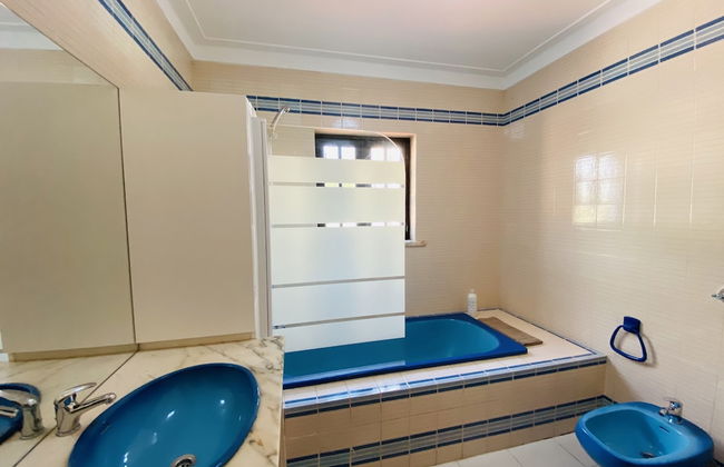 Azinheira CIP - Photo 32