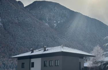 Alp House Dolomiti - Foto 10