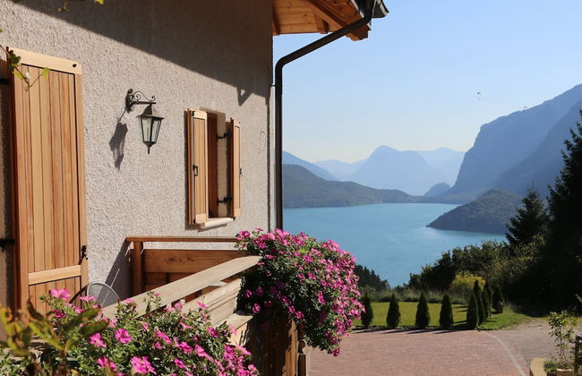 Agristurismo ai Castioni - Foto 13