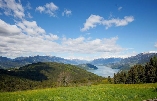 Apartment in Fresach Near Millstattersee With Pool - Foto 30