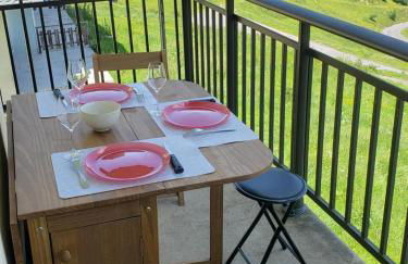 VUE PANORAMIQUE SUR LES PYRÉNÉES - Photo 18