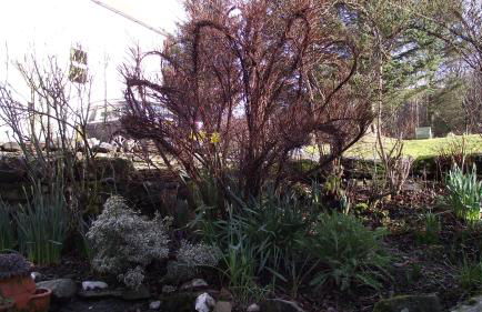 Craobh Marina Cottages - Foto 31