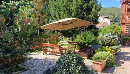 Bambù - Foto 3, Garden