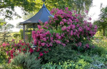 Villa Kronsteert - Foto 23