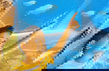 Entrada a Sea Life Park Hawaii - Foto 1