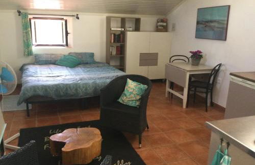 Flor da Ramila - Foto 2