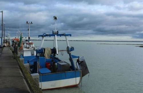 La Baigneuse maison avec jardinet et parking privé, à 200 m plage - Foto 68