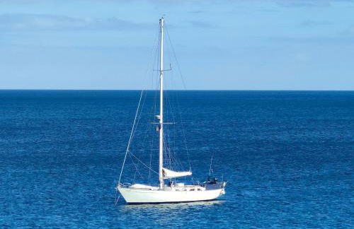 Barrocas Villas Azores - Photo 45