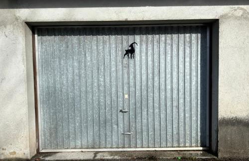 Les bouquetins - Foto 60