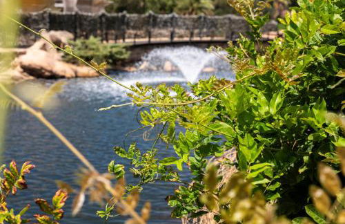 NG Collection gli Oleandri - Foto 52