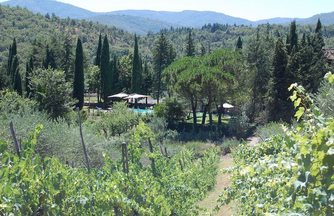 Borgo del Senatore - Foto 75